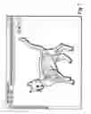 Fig. 08 - SYSTEM, METHOD AND COMPUTER PROGRAM PRODUCT FOR ANIMAL IMAGING