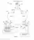 Fig. 02 - Constructing a secure internet transaction