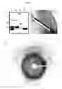 Fig. 02 - Method for the humanization of antibodies and humanized antibodies thereby obtained
