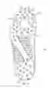Fig. 07 - Article of footwear for soccer