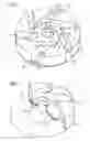 Fig. 04 - Burners for a gas turbine engine