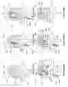 Fig. 96 - Method of making inflatable medical devices