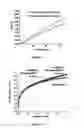 Fig. 04 - PROCESS FOR PRODUCING NANOPOROUS CARBIDE-DERIVED CARBON WITH INCREASED GAS STORAGE CAPABILITY