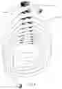 Fig. 07 - Organization device for winding a coilable item