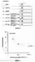Fig. 02 - Method and System for Controlling Termites
