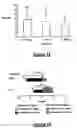 Fig. 17 - Method and System for Controlling Termites