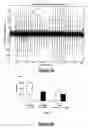 Fig. 20 - Method and System for Controlling Termites