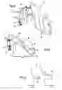 Fig. 07 - Method of Feeding Unstacker Apparatus For Unstacking Postal Items