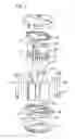 Fig. 02 - Gear pump for a power steering system
