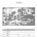 Fig. 05 - In vitro method for identifying compounds for cancer therapy