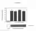 Fig. 09 - In vitro method for identifying compounds for cancer therapy