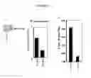 Fig. 13 - In vitro method for identifying compounds for cancer therapy
