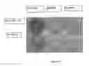 Fig. 24 - In vitro method for identifying compounds for cancer therapy