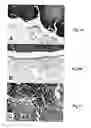 Fig. 09 - BIODEGRADABLE COMPOSITE FOR INTERNAL LOCAL RADIOTHERAPY