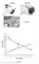 Fig. 13 - BIODEGRADABLE COMPOSITE FOR INTERNAL LOCAL RADIOTHERAPY