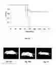 Fig. 16 - BIODEGRADABLE COMPOSITE FOR INTERNAL LOCAL RADIOTHERAPY