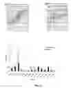 Fig. 13 - Transgenic pig model for a hereditary neurodegenerative autosomal dominant disease
