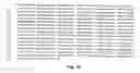Fig. 17 - Transgenic pig model for a hereditary neurodegenerative autosomal dominant disease