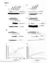 Fig. 02 - Methods for predicting psychotropic drugs which elicit weight gain