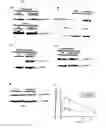 Fig. 07 - Methods for predicting psychotropic drugs which elicit weight gain