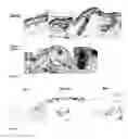 Fig. 05 - Methods for generating new hair follicles, treating baldness, and hair removal
