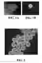 Fig. 02 - Methods of preparing and characterizing mesenchymal stem cell aggregates and uses thereof