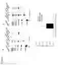 Fig. 06 - Vault compositions for immunization against chlamydia genital infection