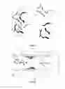 Fig. 02 - Method for depositing high aspect ratio molecular structures