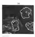 Fig. 01 - Liposome Capable of Effective Delivery of Given Substance Into Nucleus