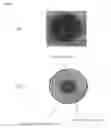 Fig. 06 - Liposome Capable of Effective Delivery of Given Substance Into Nucleus