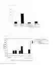 Fig. 04 - IRON METABOLISM-IMPROVING AGENT