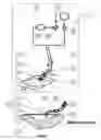 Fig. 02 - Wound treatment apparatus and method