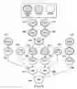 Fig. 07 - Optimized scalar promotion with load and splat SIMD instructions