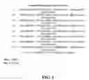 Fig. 02 - EPSPS mutants