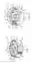Fig. 04 - Method and apparatus for metered dose dispensing