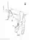 Fig. 02 - POSTURE ENHANCEMENT DEVICE