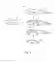 Fig. 06 - Method of and device for attracting aquatic life forms using an electromagnetic field generation