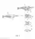 Fig. 07 - Method of and device for attracting aquatic life forms using an electromagnetic field generation