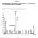 Fig. 07 - VACCINE