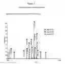 Fig. 08 - VACCINE