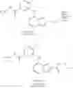 Fig. 24 - PROCESS FOR PREPARING SALTS OF 4-[[5-[(CYCLOPROPYLAMINO)CARBONYL]-2-METHYLPHENYL]AMINO]-5-METHYL-N-PROPYLPYRROLO[2,1-f][1,2,4]TRIAZINE-6-CARBOXAMIDE AND NOVEL STABLE FORMS PRODUCED THEREIN