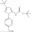 Fig. 203 - ANTI-INFLAMMATORY MEDICAMENTS