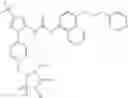 Fig. 304 - ANTI-INFLAMMATORY MEDICAMENTS