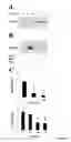 Fig. 02 - METHOD OF MODULATING CELLULAR ACTIVITY AND AGENTS USEFUL FOR SAME