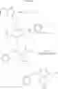 Fig. 09 - Asymmetric Cyclic Diester Compounds