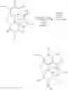 Fig. 02 - Process for the preparation of 6-beta hydroxy morphinan compounds