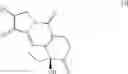 Fig. 07 - Novel Process for the Preparation of Hexacyclic Compounds