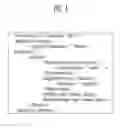Fig. 04 - Apparatus and method for preventing anomaly of application program