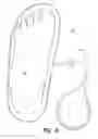 Fig. 07 - Method to capture and support a 3-D contour