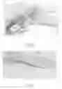 Fig. 62 - Method to capture and support a 3-D contour